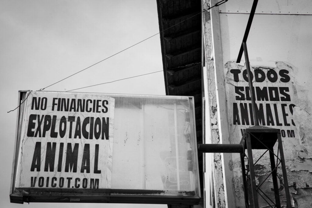 tv veganismo argentina